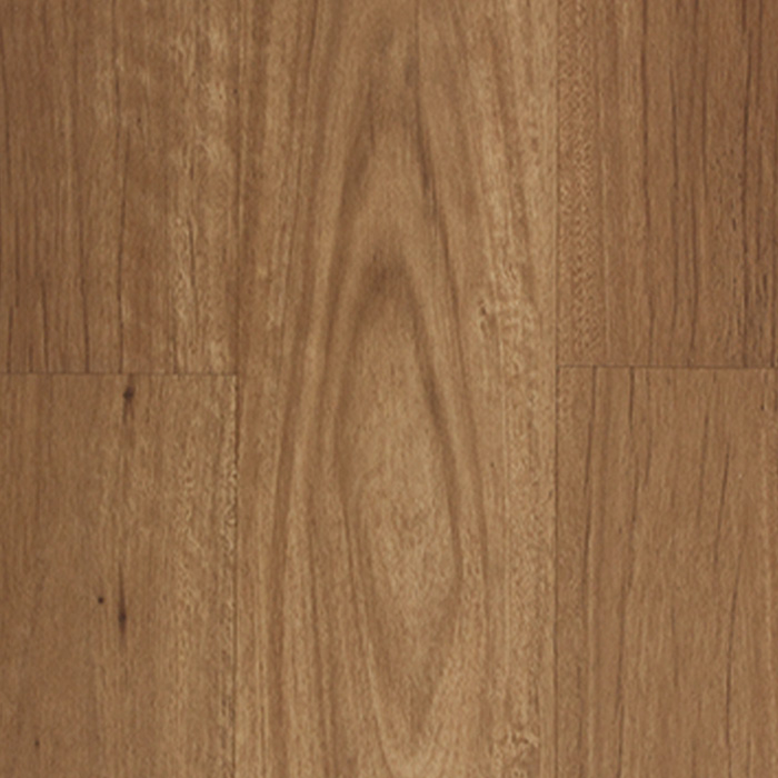 Aspire RCB | New England Blackbutt