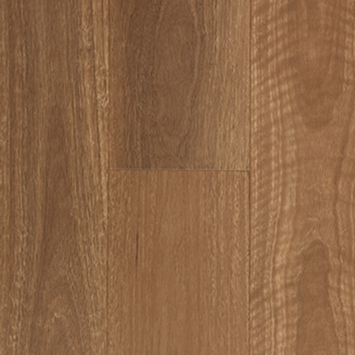 Aspire RCB | QLD Spotted Gum