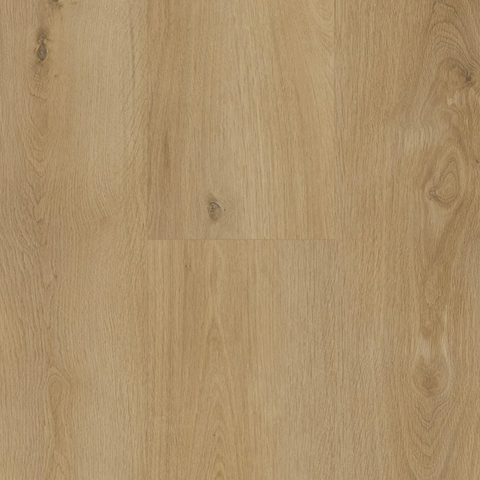 Aspire RCB | Sandy Bluff