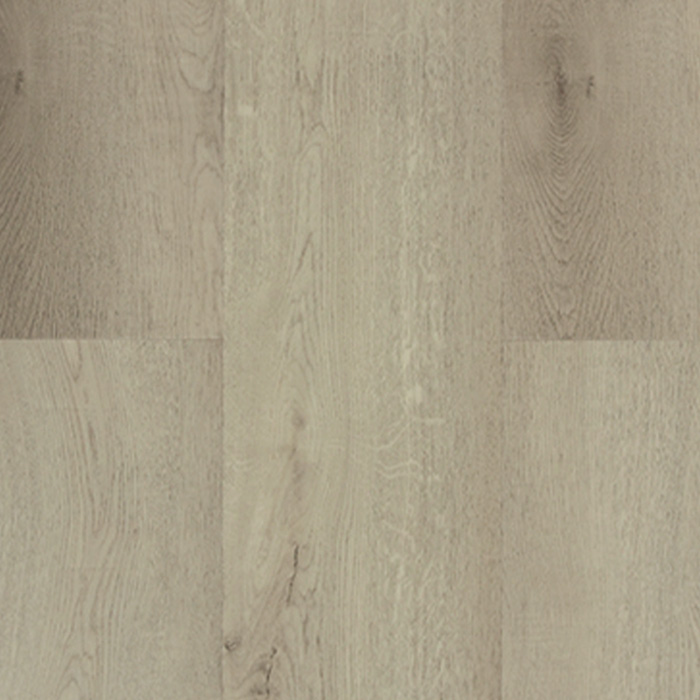 Aspire RCB | Silver Moon