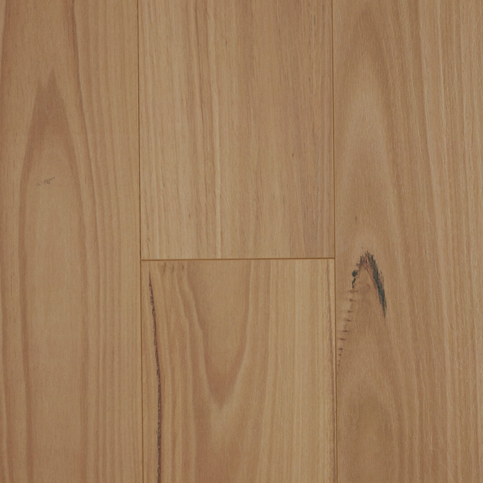 Oakleaf HD Plus | Blackbutt