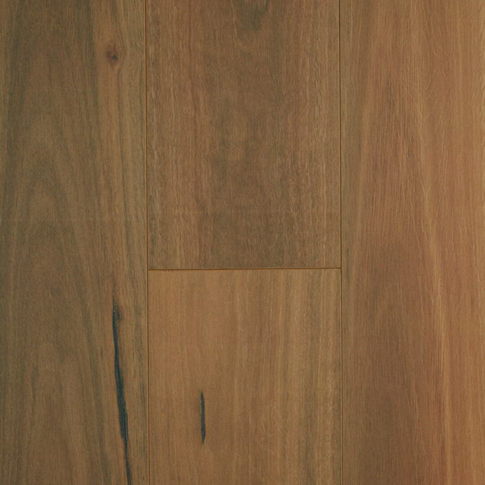 Oakleaf HD Plus | Spotted Gum