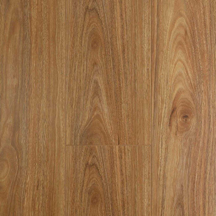 Oakleaf Laminate  | Spotted Gum